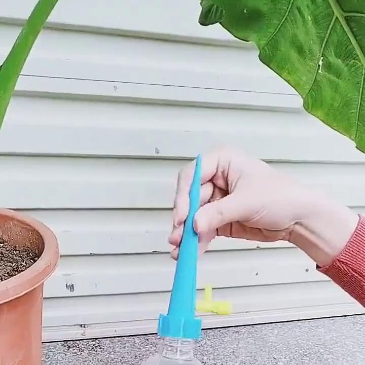 play video