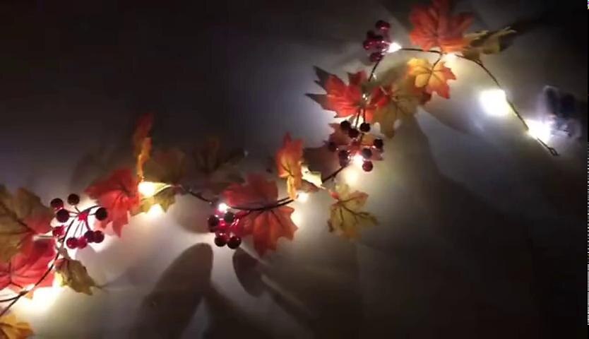 play video