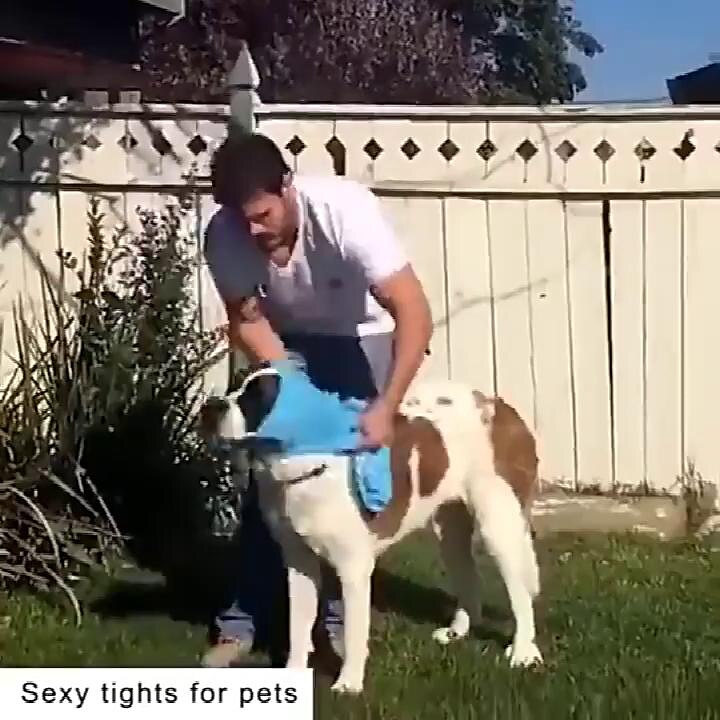 play video