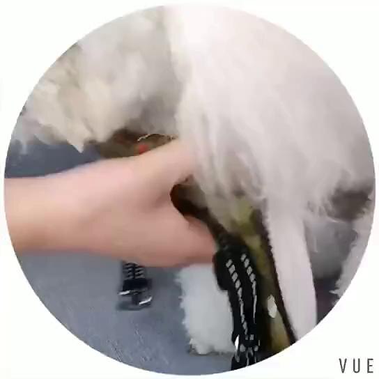 play video