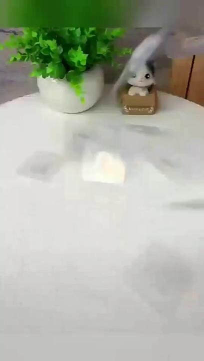 play video