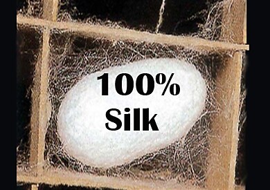 Silk Scarf