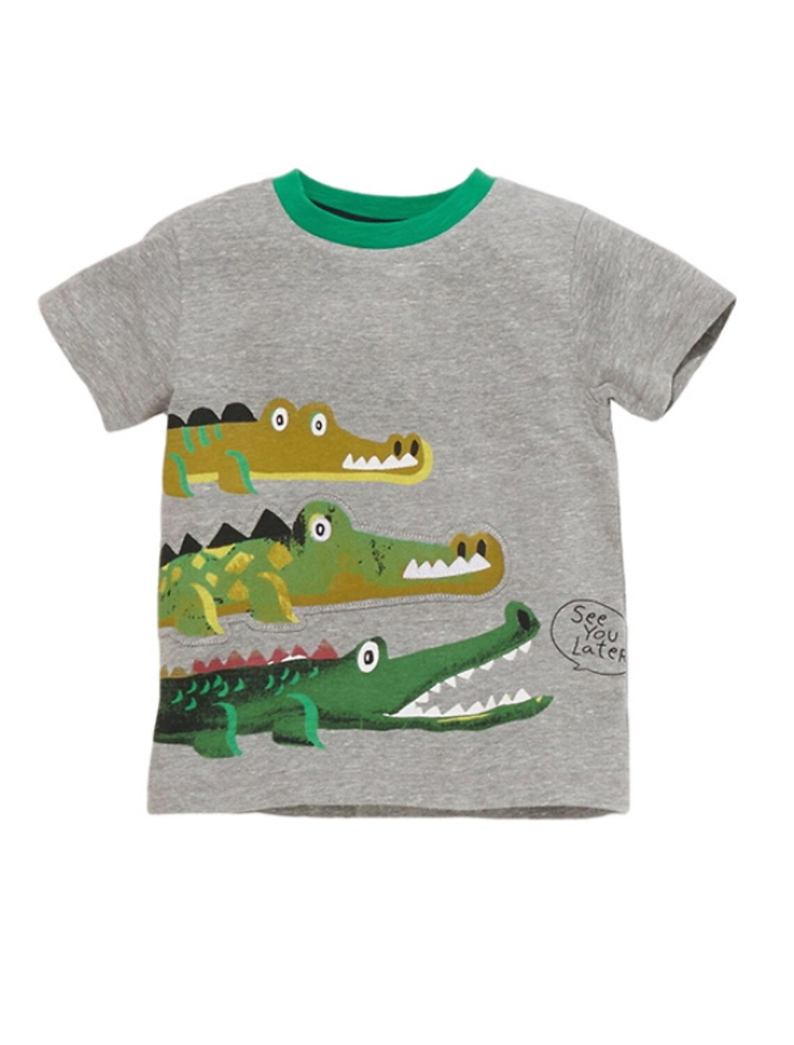 Boys Grey T Shirt Later Alligator Animal Short Sleeve Top Ages 2-8 Free P+P 