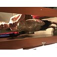 Nappa Ruggenti anni '20 1920s Il grande Gatsby Abito da cocktail Vestito del flapper Vestiti Costumi Halloween Abiti da ballo Abito da festa di Natale Al ginocchio Charleston Per donna Collage