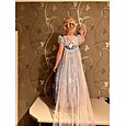 Frozen Prințesă Elsa Rochii Manta Rochie de fete cu flori Fete Film Cosplay Cosplay Partidul costumelor Albastru Zuia Copiilor Mascaradă Nuntă Invitat la nunta Rochie
