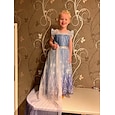 Frozen Prințesă Elsa Rochii Manta Rochie de fete cu flori Fete Film Cosplay Cosplay Partidul costumelor Albastru Zuia Copiilor Mascaradă Nuntă Invitat la nunta Rochie