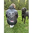 男性用 犬 グラフィック パーカー フーディーズ スウェットシャツ パーカー 長袖 フード付きスウェットシャツ フード付き スポーツウェア 3Dプリント カジュアル 日常 スポーツ 1 2 プリント フロントポケット 春 & 秋 デザイナー