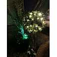 エレガントなウェディング レセプション パーティー ホリデー ライト DC 5m フェアリー ライト 12V 1A アダプター クリスマス 新年 ウェディング デコレーション ライト LED ストリング