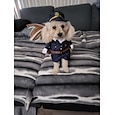 Prodotti per cani Prodotti per gatti Costumi Festa Divertente Impermeabile Traspirante Morbido Lavabile Comodo Esterno Halloween Casual / quotidiano Bichon Frise Pomeriana cuccioli Farfalla