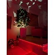 foco LED interfaz USB atenuación ajuste de color foco cronometrado luz cálida luz blanca luz neutra luz de proyección iluminación de plantas de interior decoración atmósfera luz planta paisaje