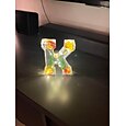 1 luz nocturna LED de 11,5 cm con 26 letras, luz cálida de flor seca para decoración de escritorio, luz decorativa, luz decorativa para Navidad, Halloween, bodas, cumpleaños y fiestas.