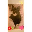 Bandera de Jardín Personalizada 12x18 Pulgadas Diseñada con Tu Foto Mejor Regalo de Graduación Bandera de Jardín Patio Bandera de Jardín Doble Cara 1pc Bandera Personalizada Hecha a Medida