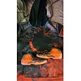 Hombre Salpicadura de sangre 3D Boca Sudaderas Sudadera Punk Exagerado Gótico Casual Manga Larga Cuello Barco Con Capucha Ropa de calle Discoteca Rojo Rojo Oscuro Correa Impresión 3D Otoño Invierno