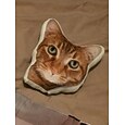 Cojín conmemorativo de mascotas personalizado - Suave abrazable impreso a doble cara lavable a mano diseño contemporáneo cierre de cremallera relleno de algodón cojín decorativo para todas las