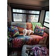 Funda de cojín de doble cara con paisaje colorido, 1 pieza, funda de almohada cuadrada decorativa, funda de almohada para dormitorio, sala de estar, cojín interior para sofá, cama, silla