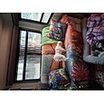 Housse de coussin double face avec paysage coloré, 1 pièce, taie d'oreiller carrée décorative pour chambre à coucher, salon, coussin d'intérieur pour canapé, lit, chaise