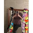 Femmes Chemisier Couleur Unie Formel Vacances Travail Ballon Rose Claire Violet Col en V Manche Gigot Taille Élastique Manches mi-longues Élégant Mignon Décontracté Quotidien Col en V Été Printemps
