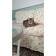 Funda para Sofá de 2 Plazas o Funda de Sofá Cama Ektorp de 2 Plazas con Fundas de Cojines y Fundas de Respaldo Protector de Muebles Lavable Ektorp