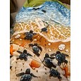 Mujer Camiseta Estampado Floral Graphic Rosa Elegante Vintage Moda Manga Corta Escote Redondo Tops regulares Diario Noche Fin de semana Azul Piscina Blanco Verde Claro Azul polvoriento Marrón Verano
