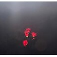 Luces de Rosa para Jardín Solar Decoraciones Realistas de Flores de Rosa LED para Cementerios con Estacas para Jardín Patio Jardín y Decoración de Tumbas Impermeable (Rojo Con 3 Cabezas de Flores