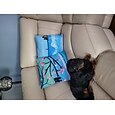 Funda de almohada personalizada, agrega tu imagen, diseño de foto personalizado, imagen, funda de almohada informal de moda, funda de cojín, 1 pieza, regalo de San Valentín personalizado, hecho a medida