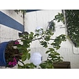 12 "zonne-energie lantaarns waterdichte outdoor nylon doek papieren lantaarnlampen tuin hangende papieren lantaarns