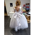 Niños Chica Vestido de niña de las flores Vestido Vestido de Fiesta Color sólido Sin Mangas Formal Rendimiento Boda Malla Espalda al Aire Elegante Moda Adorable Poliéster Maxi Vestido de Fiesta