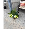 Set van 2 kunstmatige Bostonvarenstruiken, 89 cm groot, UV-bestendig, levensechte kunstplanten met 96 realistische bladeren, geschikt voor binnen- en buitendecoratie, terras, veranda, tuin, bruiloft en kantoor.