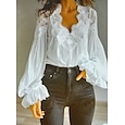 Dames Kanten overhemd Blouse Kant Lapwerk Effen Kleur Elegant Stijlvol Basic Lange mouw V-hals Normale tops Dagelijks Uitgaan Zwart Wit Zomer Lente Herfst