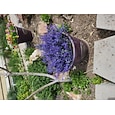 8 manojos de follaje artificial de lavanda, arbustos artificiales, flores, maceta colgante resistente a los rayos UV, decoración floral para interiores y exteriores, arreglos florales para mesas de boda, rellenos para ramos.