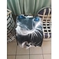 Ανδρικά Μπλουζάκι Πουκάμισο Κοντομάνικα Γραφική Ζώο Γάτα Στρογγυλή Λαιμόκοψη Γκρίζο 3D εκτύπωση Μεγάλα Μεγέθη Δρόμος Καθημερινά Κοντομάνικο Στάμπα Ρούχα Πάρτι Υψηλής Ποιότητας Καθημερινό Χώρα
