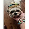 調整可能なあごストラップ付きの2pack手作りペット麦わら帽子、素敵な太陽帽子面白いメキシコパーティー衣装パーティー写真プロップ犬ソンブレロ帽子犬/子犬/猫/キティ