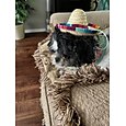 調整可能なあごストラップ付きの2pack手作りペット麦わら帽子、素敵な太陽帽子面白いメキシコパーティー衣装パーティー写真プロップ犬ソンブレロ帽子犬/子犬/猫/キティ