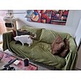 repskyddande kattsoffa filt sofföverdrag, mjuka luddiga sängkläder filtar, möbelskydd från sällskapsdjur, premium fluffiga filtar plysch fleece kast hund säng