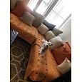 غطاء أريكة بطراز بوهو غطاء أريكة مقعد يغطي الأريكة المقطعية ، واقي أثاث وأغطية أريكة مضادة للانزلاق للكلاب والقطط والأطفال (تباع بالقطعة / ليس كل مجموعة)