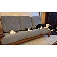 canapé extensible housse de coussin housse élastique canapé fauteuil causeuse 4 ou 3 places hydrofuge gris noir uni solide doux durable lavable