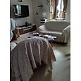 Cobertor de sofá de gato anti-risco capa de sofá, cobertores de cama macios, protetor de móveis para animais de estimação, cobertores macios premium jogar cama de cachorro