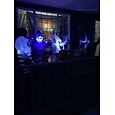 halloween dekorasjoner skjelett hengende billedvev veggkunst stor billedvev gresskar hodeskalle veggmaleri dekor fotografi bakteppe teppe gardin hjem soverom stue