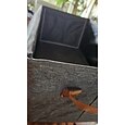 cesta de armazenamento de cátions com alças, cesta de acabamento de armazenamento para roupas, artigos diversos, arquivos, organizador de armazenamento para cozinha, quarto, banheiro, escritório, mesa