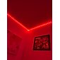 led stripverlichting (2x5m) 10m 32.8ft 2835 rgb 600leds 8mm strips verlichting flexibele kleurwissel met 44 toetsen ir afstandsbediening ideaal voor thuis keuken kerst tv achterlichten dc 12v