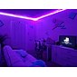 led stripverlichting (2x5m) 10m 32.8ft 2835 rgb 600leds 8mm strips verlichting flexibele kleurwissel met 44 toetsen ir afstandsbediening ideaal voor thuis keuken kerst tv achterlichten dc 12v