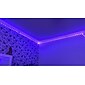 bandes lumineuses à LED (2x5m) 10m 32.8ft 2835 rgb 600leds bandes de 8mm éclairage changeant de couleur flexible avec télécommande IR 44 touches idéale pour la cuisine à la maison noël tv
