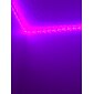 bandes lumineuses à LED (2x5m) 10m 32.8ft 2835 rgb 600leds bandes de 8mm éclairage changeant de couleur flexible avec télécommande IR 44 touches idéale pour la cuisine à la maison noël tv