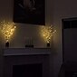 Luz Noturna LED de Ramos de Salgueiro de Natal Flexível 75cm 20 LEDs Branco Quente/Múltipla Cores Alimentada por Bateria AA para Natal Ação de Graças Decoração de Festa