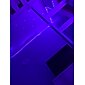 Kerst Strip Lichten 20m 65ft LED Slimme Strip Lichten TV Achtergrondverlichting RGB Bluetooth Muzieksynchronisatie 5M 10M 15M 2835 SMD Kleurenverandering met 40 Toetsen Controller voor Slaapkamer