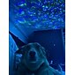 Projecteur de galaxie LED veilleuse onde océanique projection étoilée avec haut-parleur Bluetooth télécommande 10 couleurs 21 modes d'éclairage niveaux de luminosité ajustables pour un cadeau de la