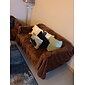 repskyddande kattsoffa filt sofföverdrag, mjuka luddiga sängkläder filtar, möbelskydd från sällskapsdjur, premium fluffiga filtar plysch fleece kast hund säng
