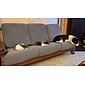 canapé extensible housse de coussin housse élastique canapé fauteuil causeuse 4 ou 3 places hydrofuge gris noir uni solide doux durable lavable