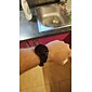 HW20 Smart Watch 1.3 inch Smartur Bluetooth Samtalepåmindelse Aktivitetstracker Kalender Kompatibel med Android iOS Unisex Lang Standby Handsfree opkald Vandtæt IP 67 45 mm urkasse