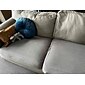 stretch soffa sittdyna överdrag täcka elastisk soffa fåtölj loveseat 4 eller 3 sits grå enkel solid mjuk tålig tvättbar